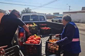 WhatsApp Image 2025-07-04 at 15.52.47 (1).jpeg